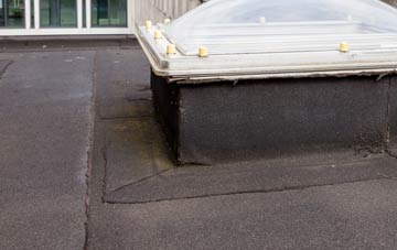 disadvantages of Little Washbourne flat roofs