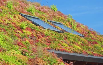 Little Washbourne living roof systems
